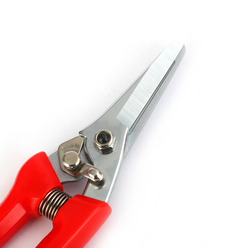 Sap nožnice na rezanie z nerezovej ocele s rovnou hlavou – pružinové, ručná pomôcka pre záhradu a zber ovocia