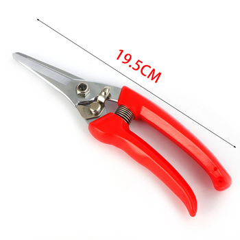 Sap nožnice na rezanie z nerezovej ocele s rovnou hlavou – pružinové, ručná pomôcka pre záhradu a zber ovocia