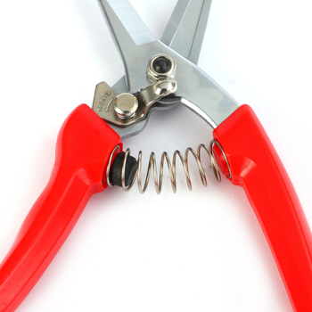 Sap nožnice na rezanie z nerezovej ocele s rovnou hlavou – pružinové, ručná pomôcka pre záhradu a zber ovocia