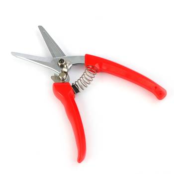 Sap nožnice na rezanie z nerezovej ocele s rovnou hlavou – pružinové, ručná pomôcka pre záhradu a zber ovocia