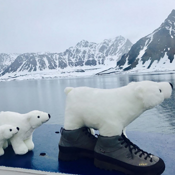 Urs polar de pluș – păpușă din pluș cu blană scurtă și umplutură PP bumbac (Vârsta 7–14 ani)