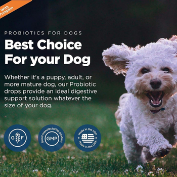 Probiotické kvapky pre psy – podpora črevného zdravia; 100 g na fľašu, 50 fľašiek v balení