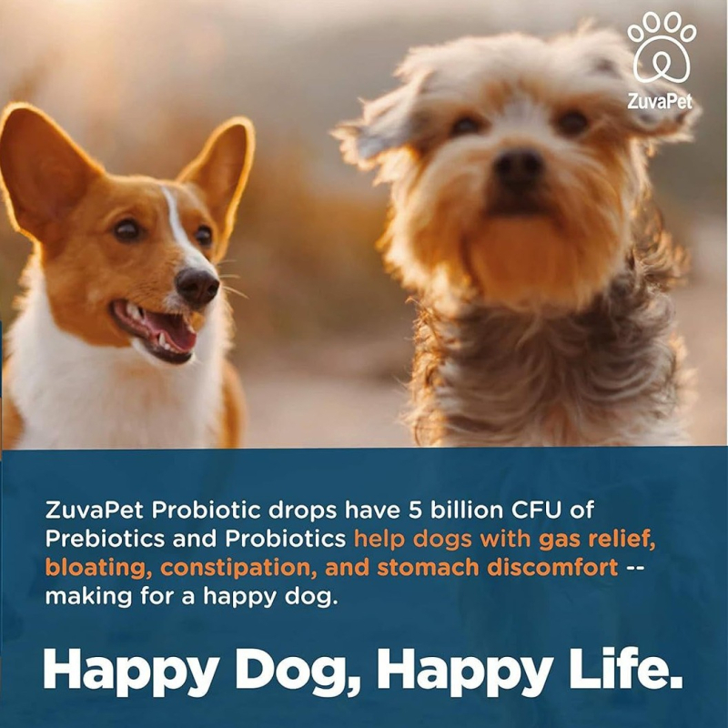 Probiotické kvapky pre psy – podpora črevného zdravia; 100 g na fľašu, 50 fľašiek v balení