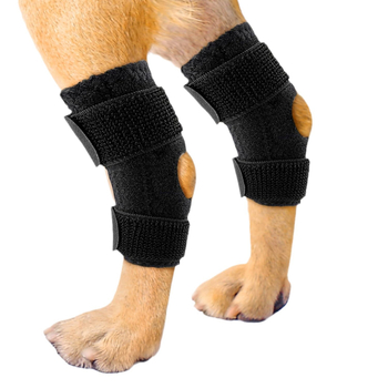 Protecție gambă pentru animal de companie - Wolf King echipament protector de reabilitare, pernă pentru gambă, material OK + inel din silicon
