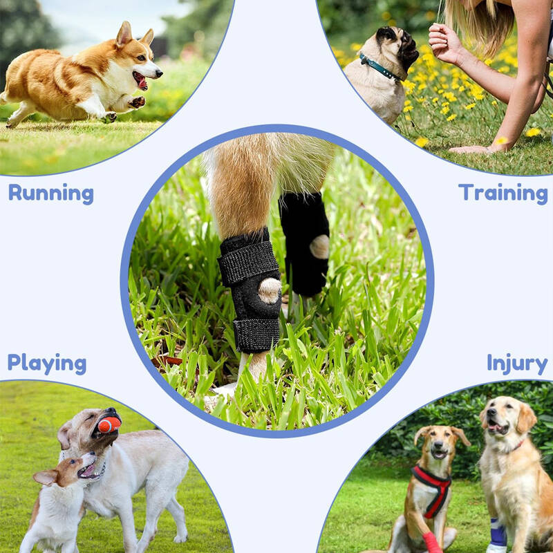 Protecție gambă pentru animal de companie - Wolf King echipament protector de reabilitare, pernă pentru gambă, material OK + inel din silicon