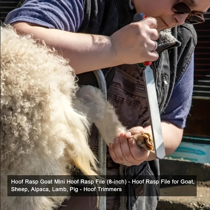 Rasp pentru copite pentru cai, capre, oi și alpaca (fier, număr produs jd601099773970640)