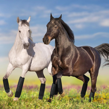 Koňské ochranné popruhy na nohy – proti kolíziám, závodné vybavenie, OEM značka