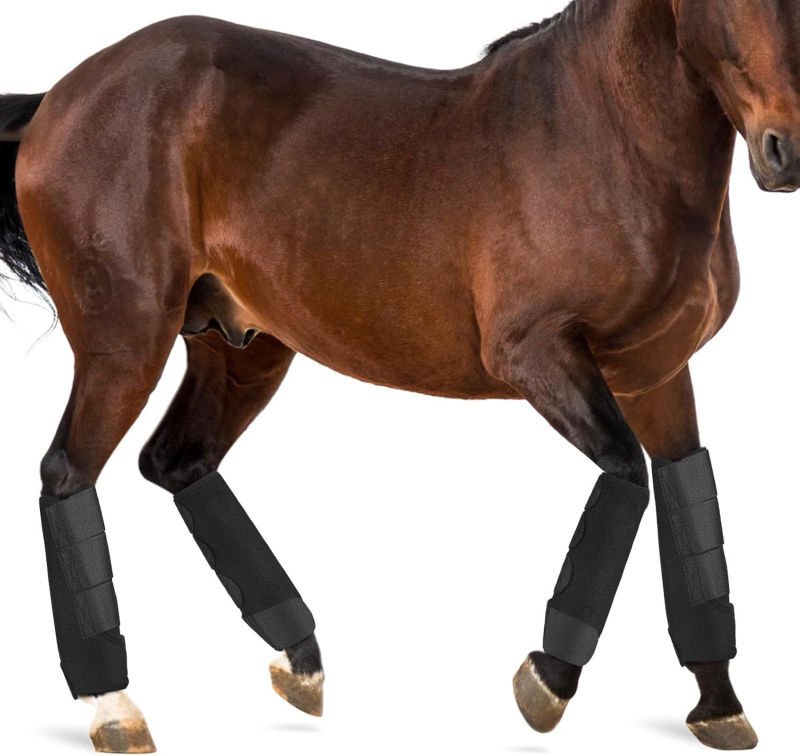 Koňské ochranné popruhy na nohy – proti kolíziám, závodné vybavenie, OEM značka