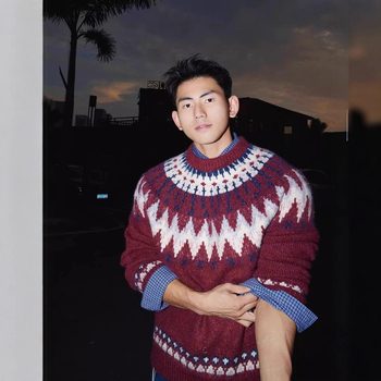 Pletena majica s okruglim izrezom, Argyle uzorak, udoban kroj, tkanina od pamukove smjese (95% poliester), jesen-zima