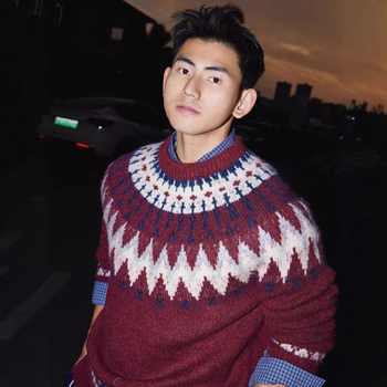 Pletena majica s okruglim izrezom, Argyle uzorak, udoban kroj, tkanina od pamukove smjese (95% poliester), jesen-zima