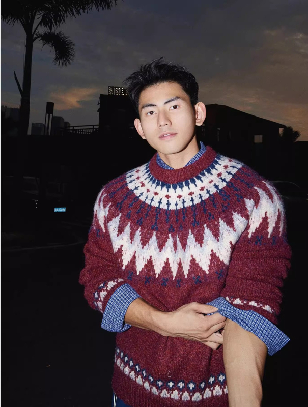 Pletena majica s okruglim izrezom, Argyle uzorak, udoban kroj, tkanina od pamukove smjese (95% poliester), jesen-zima