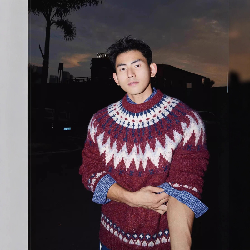 Pletena majica s okruglim izrezom, Argyle uzorak, udoban kroj, tkanina od pamukove smjese (95% poliester), jesen-zima