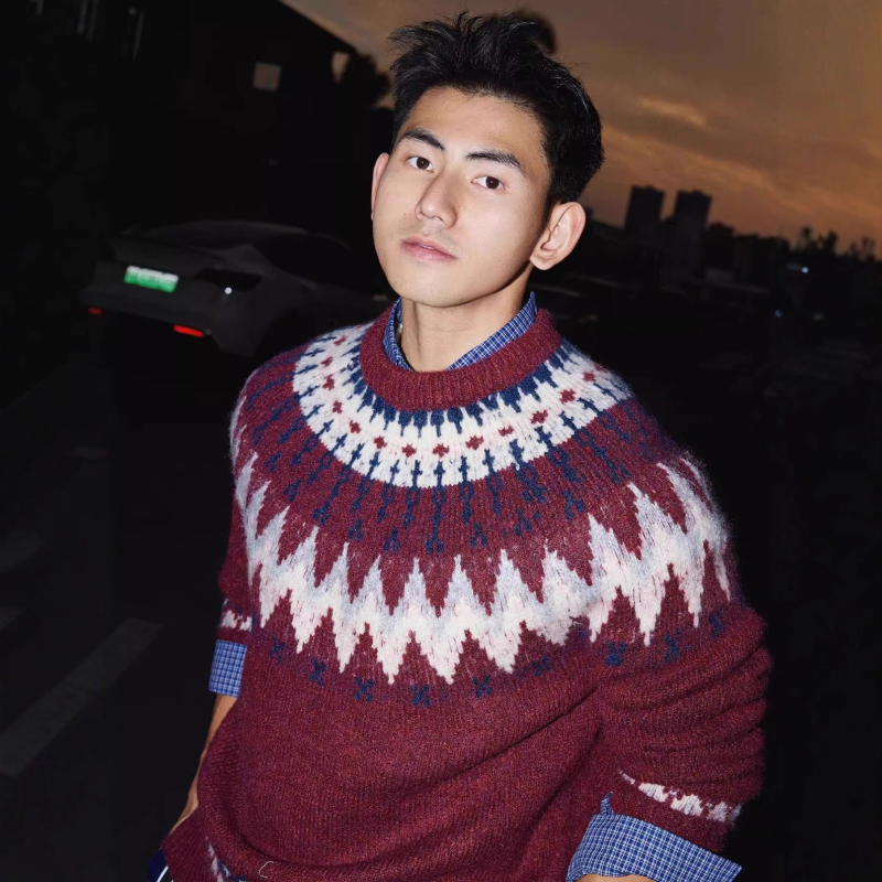 Pletena majica s okruglim izrezom, Argyle uzorak, udoban kroj, tkanina od pamukove smjese (95% poliester), jesen-zima