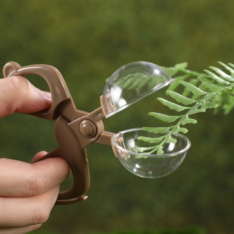 Set de instrumente pentru capturarea insectelor pentru copii, din plastic, model A-03, marca Duogeng Bear, pentru vârsta 7–14 ani.