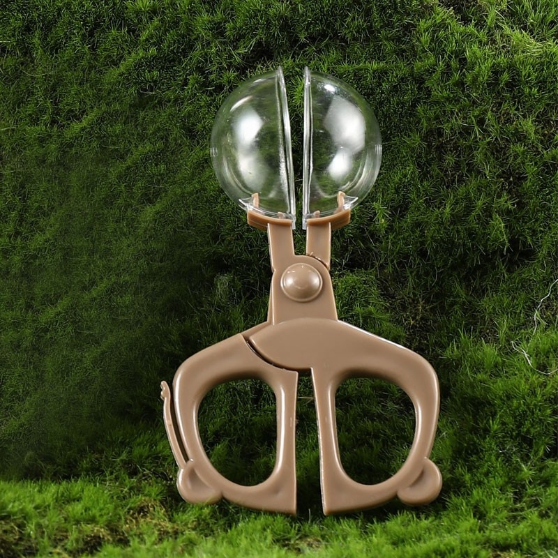 Set de instrumente pentru capturarea insectelor pentru copii, din plastic, model A-03, marca Duogeng Bear, pentru vârsta 7–14 ani.