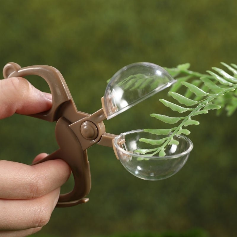 Set de instrumente pentru capturarea insectelor pentru copii, din plastic, model A-03, marca Duogeng Bear, pentru vârsta 7–14 ani.