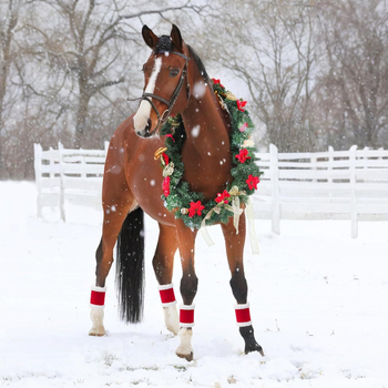 Fan Street manșete din poliester pentru gambă, pentru echitație