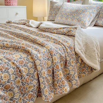 Двоен слой агнешко пухено одеяло за новородени – прост модернен стил, 3000 g+, за пролет и есен