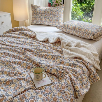 Двоен слой агнешко пухено одеяло за новородени – прост модернен стил, 3000 g+, за пролет и есен