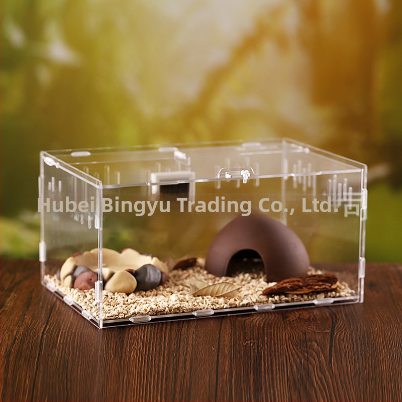 Zložená akrylová krabička na chov exotických zvierat: centipede, horned frog, turtle, snail