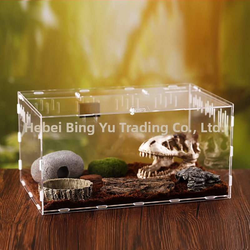 Zložená akrylová krabička na chov exotických zvierat: centipede, horned frog, turtle, snail