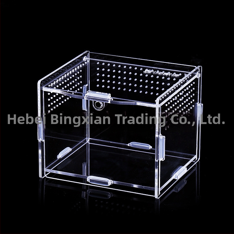 Zložená akrylová krabička na chov exotických zvierat: centipede, horned frog, turtle, snail