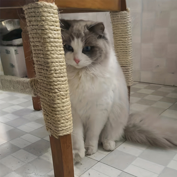 Pat pentru câini cu cadru din sârmă de fier, construcție durabilă, model jd601099519026456, furnizare exclusivă transfrontalieră