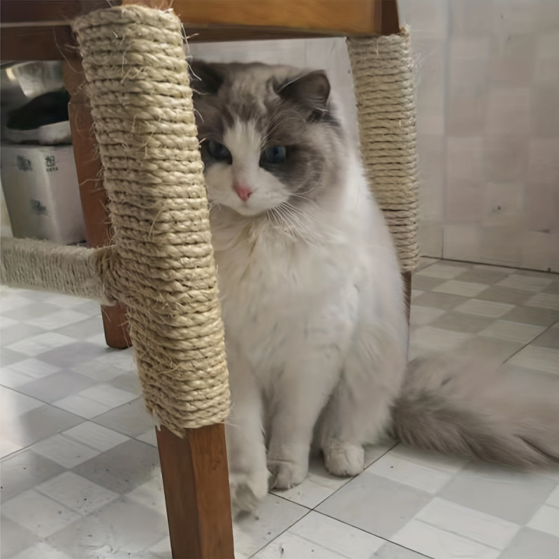 Pat pentru câini cu cadru din sârmă de fier, construcție durabilă, model jd601099519026456, furnizare exclusivă transfrontalieră