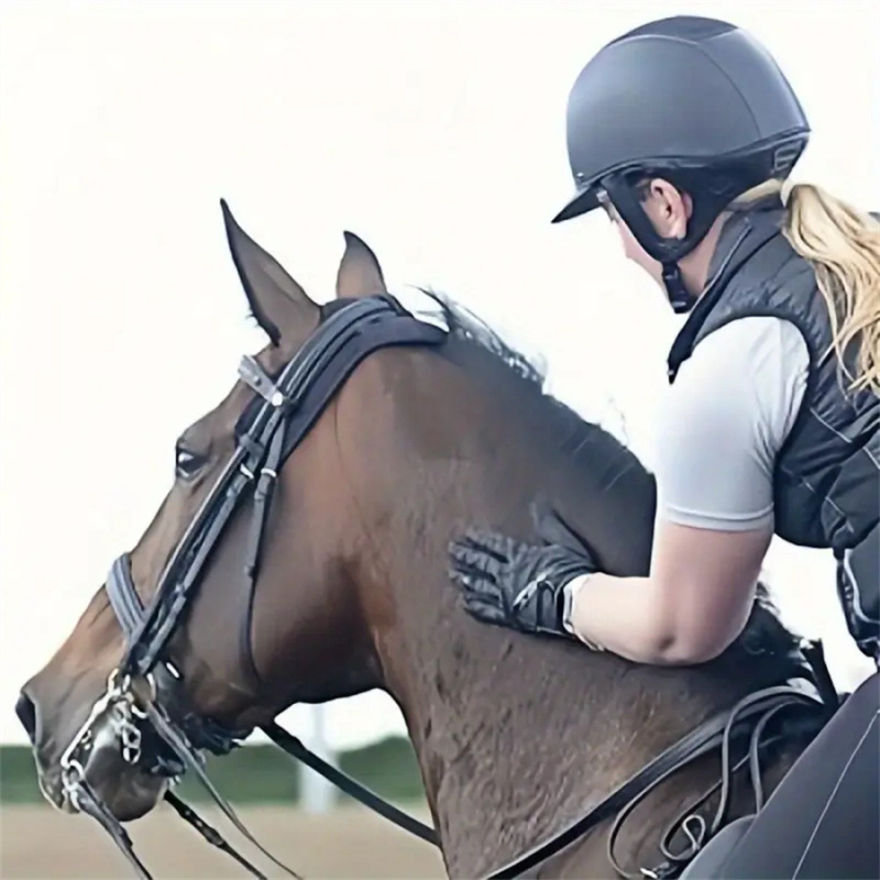 Koňská maska s dýchajúcou sieťkou z polyesterového vlákna, ochrana proti komárom a možnosť prispôsobenia