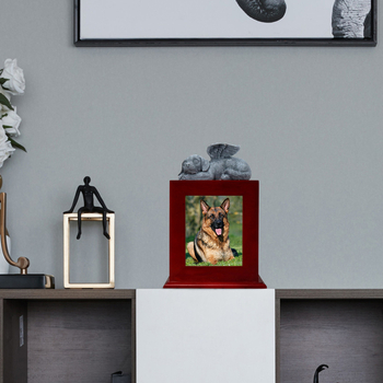 Urna pre popol domácich zvierat | Materiál: Density board | Značka: NEWDREAM | Natieraná | Kód produktu: Brown dog bone ssh box