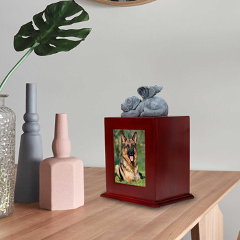 Urna pre popol domácich zvierat | Materiál: Density board | Značka: NEWDREAM | Natieraná | Kód produktu: Brown dog bone ssh box