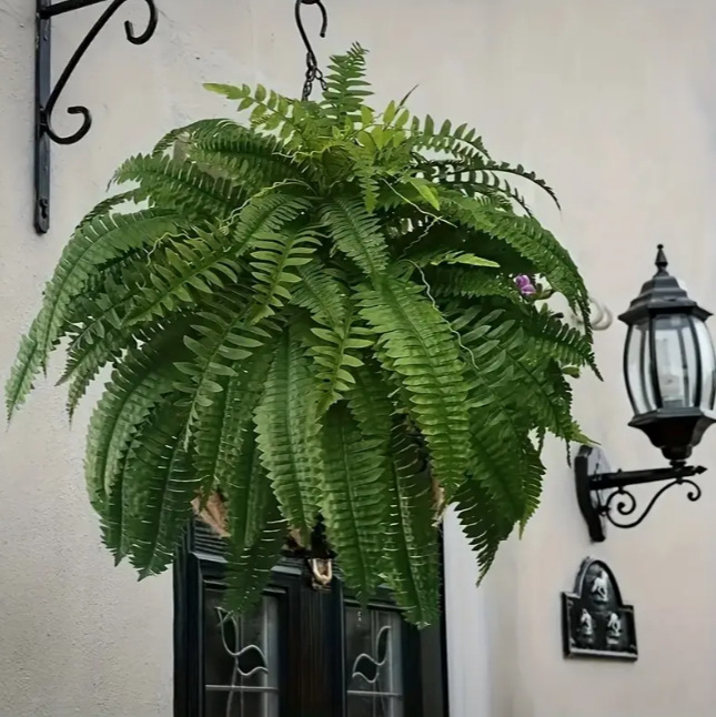 Umjetne girlande Boston fern – svila cvijeće; injekcijsko oblikovanje; sorta: Boston fern; kućna dekoracija