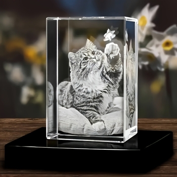 Personalizirana 3D kristalna kocka s izrezbarenim drvenim postoljem, noćna svjetiljka