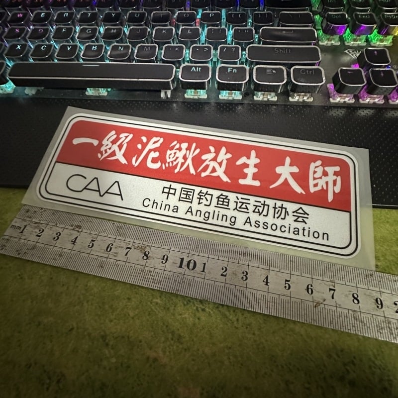 Магнитен автомобилен стикер, 3D материал, монтиране: магнитен тип, задна част на автомобила