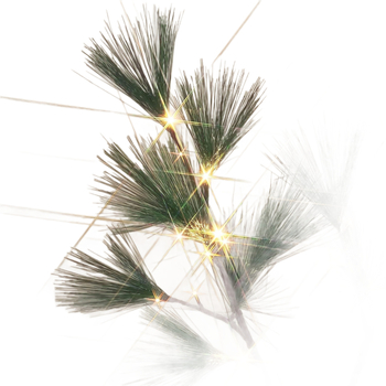 Beqi Διακοσμητικό χριστουγεννιάτικο δέντρο για σαλόνι σε μινιμαλιστικό σκανδιναβικό στυλ, PVC κλαδιά με ψεκασμό χιονιού