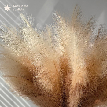 Μπουκέτο αποξηραμένων καλαμιών, πολυεστερικό ύφασμα, διακόσμηση σαλονιού