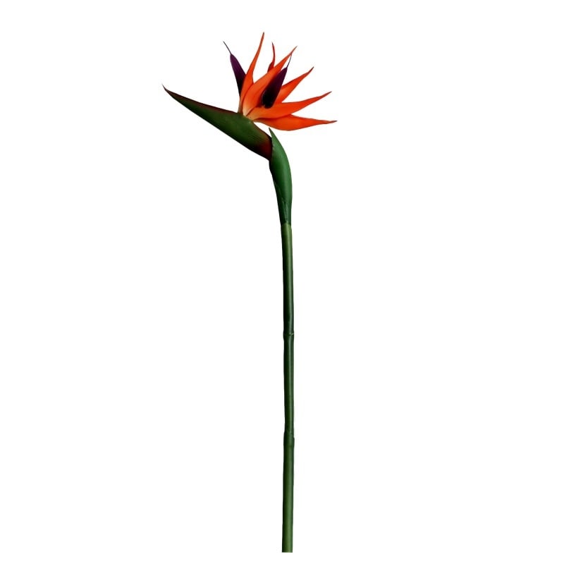 Bird of Paradise umjetni cvijet – dekorativni plastični ukras za vjenčanja, vanjsku upotrebu i rekvizite za fotografiju; Marka Flower Present Art Bo; Materijal 21778459014; Proces 19342218246; Vrsta Bird of Paradise