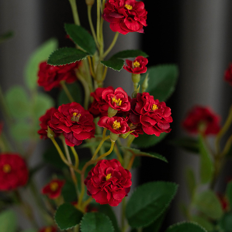 Mestská ruža Miao Miao Flower Art – hodváb, 3D tlač, vnútorná kvetinová dekorácia, simulovaná ruža