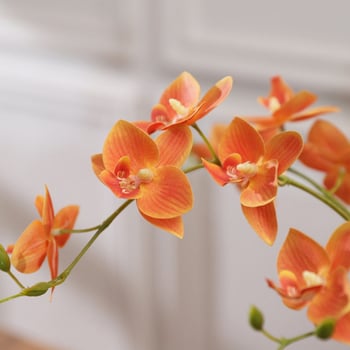 Set saténových kvetov – Margaréta (Daisy) – moderný minimalistický domáci dekor; Materiál: saténové kvety; Vlastnosť: Margaréta; Značka: Other; Spracovanie: Other