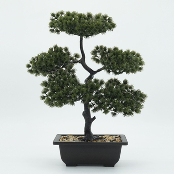 Mingyi plastový bonsaj Welcome Pine, vstrekované formovanie