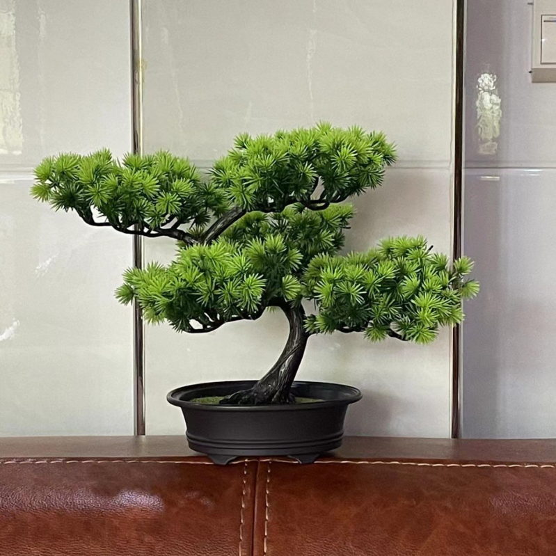 Mingyi plastový bonsaj Welcome Pine, vstrekované formovanie