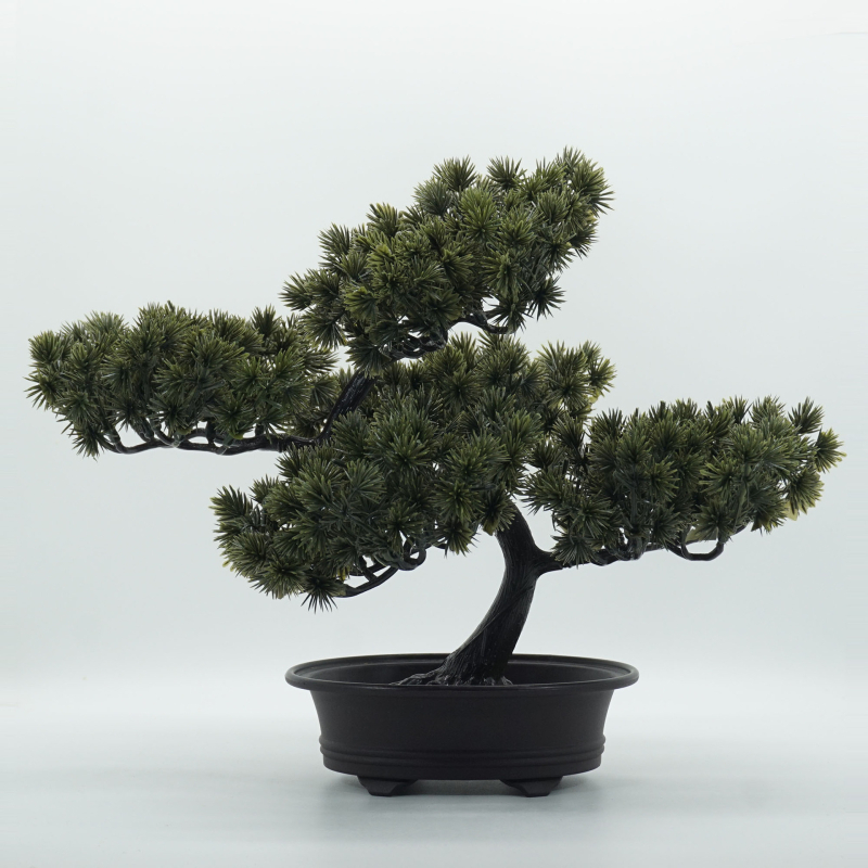 Mingyi plastový bonsaj Welcome Pine, vstrekované formovanie