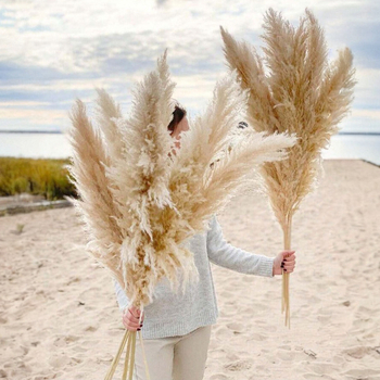 Sušená pampasová tráva buket, bulrush odroda, Diancaofang, na svadobné a domáce dekorácie