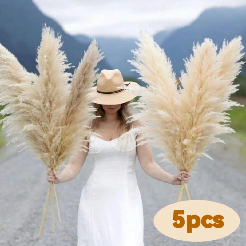 Sušená pampasová tráva buket, bulrush odroda, Diancaofang, na svadobné a domáce dekorácie