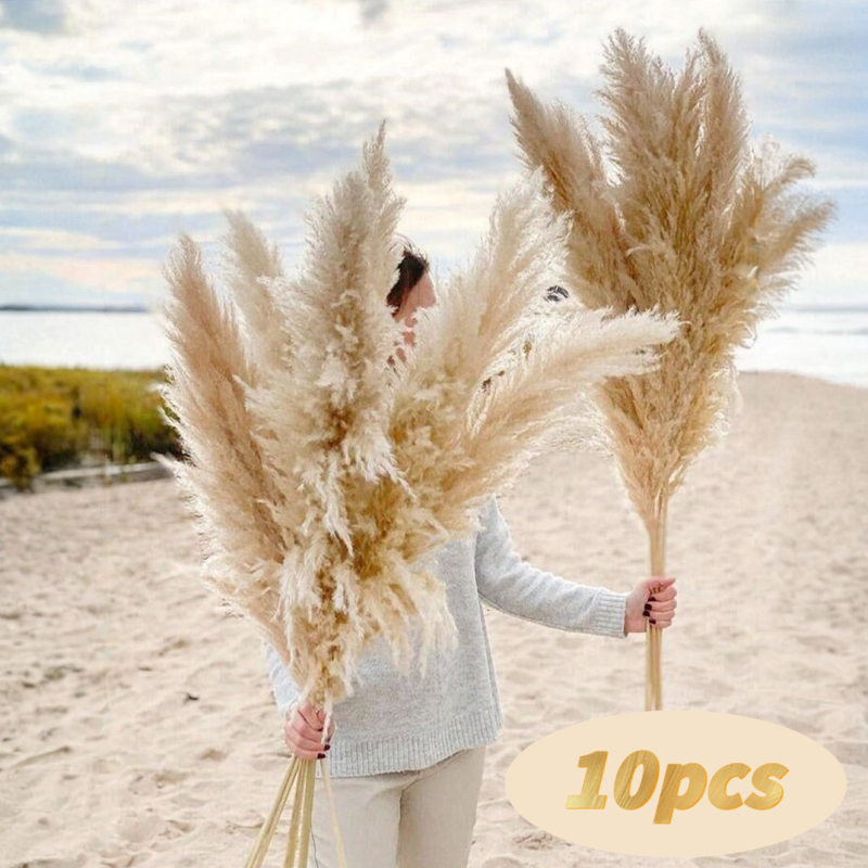 Sušená pampasová tráva buket, bulrush odroda, Diancaofang, na svadobné a domáce dekorácie