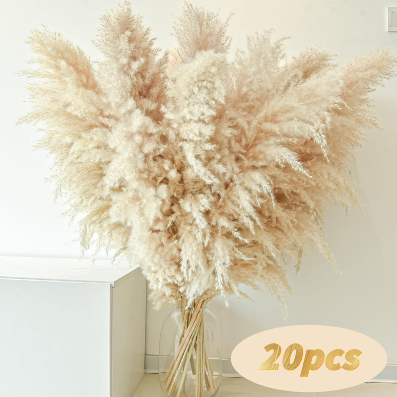 Sušená pampasová tráva buket, bulrush odroda, Diancaofang, na svadobné a domáce dekorácie