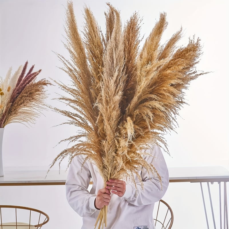 Sušená pampasová tráva buket, bulrush odroda, Diancaofang, na svadobné a domáce dekorácie