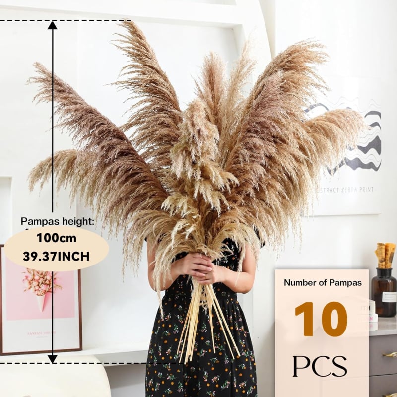 Sušená pampasová tráva buket, bulrush odroda, Diancaofang, na svadobné a domáce dekorácie