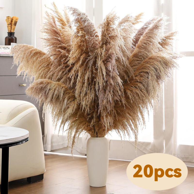 Sušená pampasová tráva buket, bulrush odroda, Diancaofang, na svadobné a domáce dekorácie