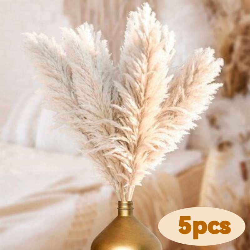 Sušená pampasová tráva buket, bulrush odroda, Diancaofang, na svadobné a domáce dekorácie